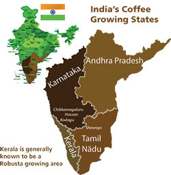 Kerala Bio – 100% Robusta Power