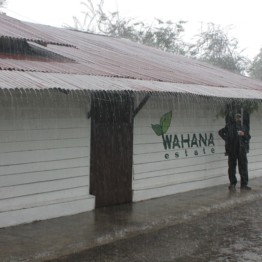 Background image for Wahana Graha Makmur