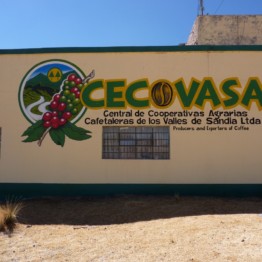 Background image for Cecovasa