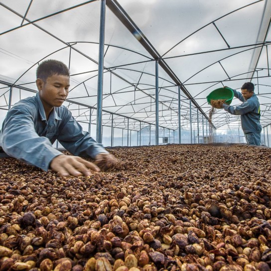 Pô Kô Farms Vietnam